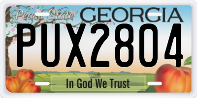 GA license plate PUX2804