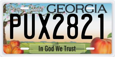 GA license plate PUX2821