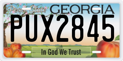 GA license plate PUX2845