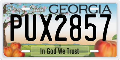 GA license plate PUX2857
