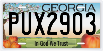GA license plate PUX2903