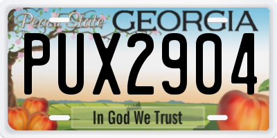 GA license plate PUX2904