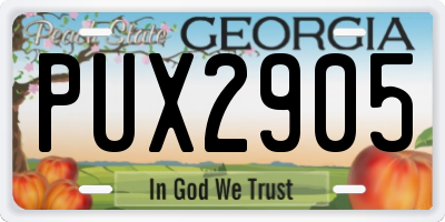 GA license plate PUX2905