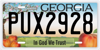 GA license plate PUX2928