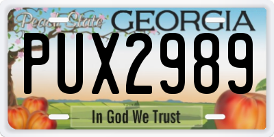 GA license plate PUX2989