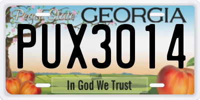 GA license plate PUX3014