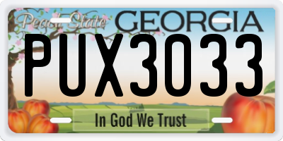 GA license plate PUX3033