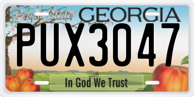 GA license plate PUX3047