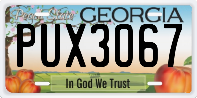 GA license plate PUX3067