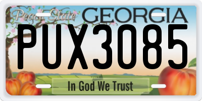 GA license plate PUX3085