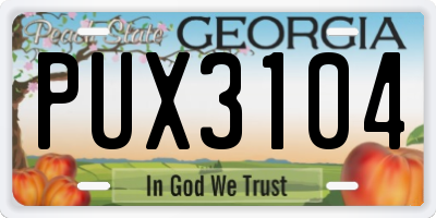 GA license plate PUX3104