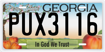GA license plate PUX3116