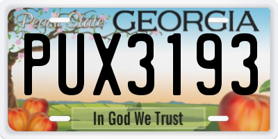 GA license plate PUX3193
