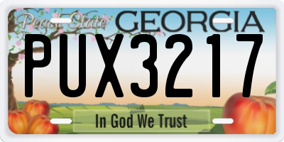 GA license plate PUX3217