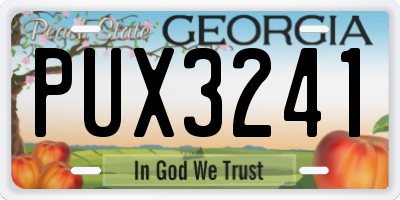 GA license plate PUX3241