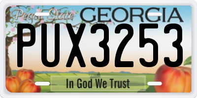 GA license plate PUX3253