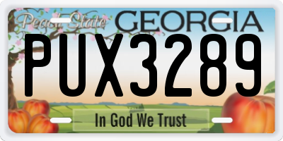 GA license plate PUX3289