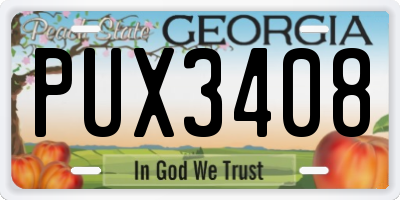 GA license plate PUX3408