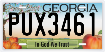 GA license plate PUX3461