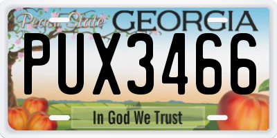 GA license plate PUX3466