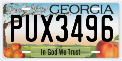 GA license plate PUX3496