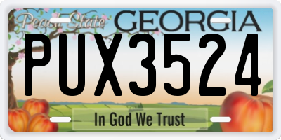 GA license plate PUX3524