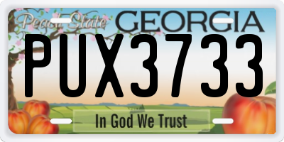 GA license plate PUX3733