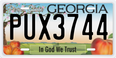GA license plate PUX3744