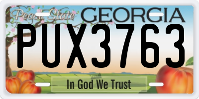 GA license plate PUX3763