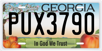 GA license plate PUX3790