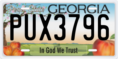 GA license plate PUX3796