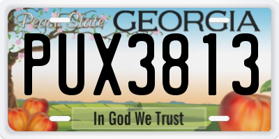 GA license plate PUX3813