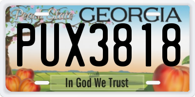 GA license plate PUX3818