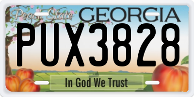 GA license plate PUX3828