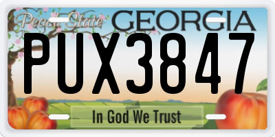 GA license plate PUX3847