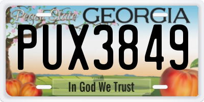 GA license plate PUX3849