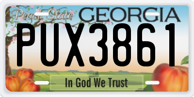 GA license plate PUX3861