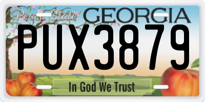GA license plate PUX3879