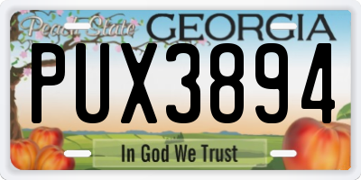 GA license plate PUX3894