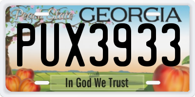 GA license plate PUX3933