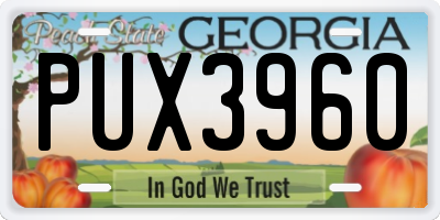 GA license plate PUX3960