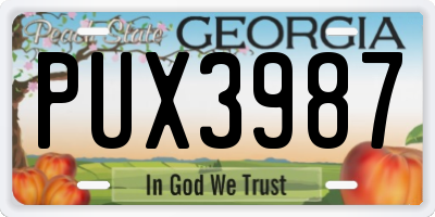 GA license plate PUX3987