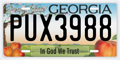 GA license plate PUX3988