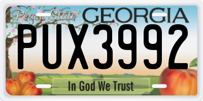 GA license plate PUX3992