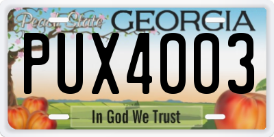 GA license plate PUX4003