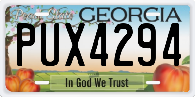 GA license plate PUX4294