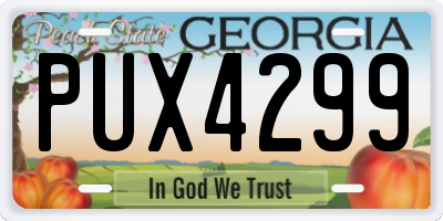 GA license plate PUX4299