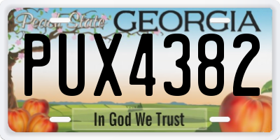 GA license plate PUX4382