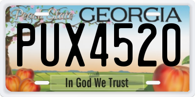 GA license plate PUX4520