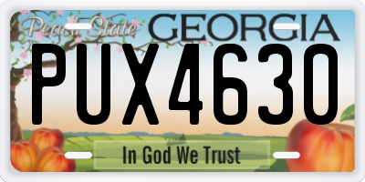GA license plate PUX4630